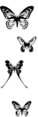 black&white butterflys