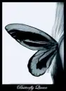 butterflyquin