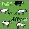 Black Sheep!
