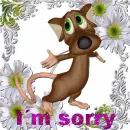 IÂ´m sorry