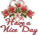 HAVE A NICE DAY