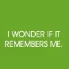 life aquatic quote
