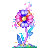 Colorful Flower