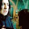 snape & potter
