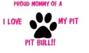PIT BULL