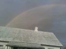 Double Rainbow