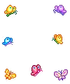 butterflys in bubbles