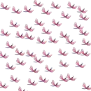 dradonflys