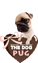 PUG