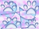 paws