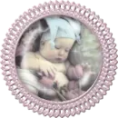 baby tulip