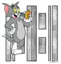 tom and jerry