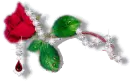higi