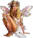 butterfly faery