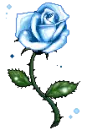 blue rose