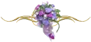 purple flowers