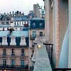 hotel chevalier