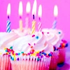 cupcake