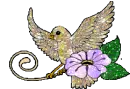 bird on flower
