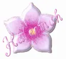 Pink Flower Haleemah