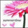 summer flower