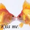 kiss me.