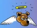 :~:Dog Angel:~: