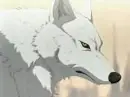 :~:Wolf:~: