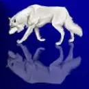 :~:Wolf on Ice:~: