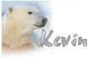 Polar Bear with Name