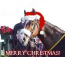 :~:Merry Christmas:~: