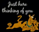 Scooby Thinking Of You