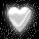 spider web heart