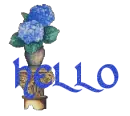 hello
