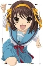 haruhi-ism