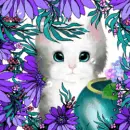 Kitten
