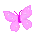 pink butterfly