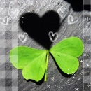 Clover Heart