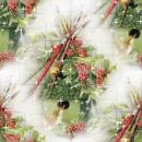 holly