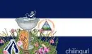 NICA