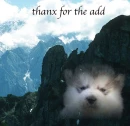 thanx for the add
