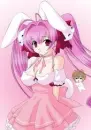 Love the Bunny