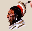 Profile Indian warrior