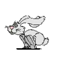 hopping rabbit