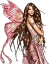 fairy