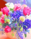 cute flowers