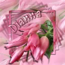 Dianna Name Banner with tulips