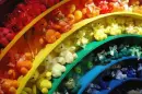 rainbow teddy shop