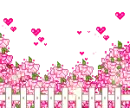 Garden Flowers