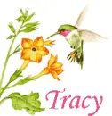 Tracy